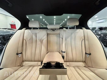 2019 BMW 5 Series Sedan 530i SPORT LINE - miniatura 19