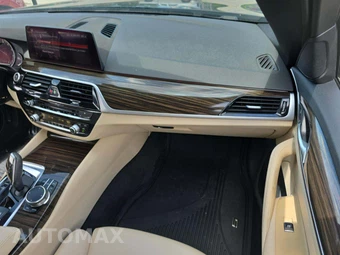 2019 BMW 5 Series Sedan 530i SPORT LINE - miniatura 19