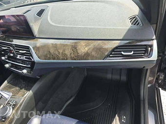 2019 BMW 5 Series Sedan xDrive iPerformance SPORT LINE - miniatura 19