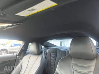 2019 BMW 8 Series Coupe M850i xDrive - miniatura 11
