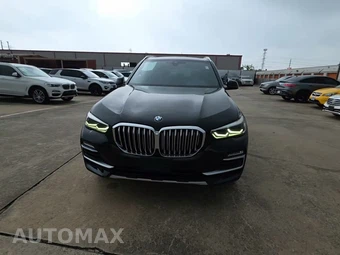 2019 BMW X5 Sports Activity Vehicle xDrive40i - miniatura 2