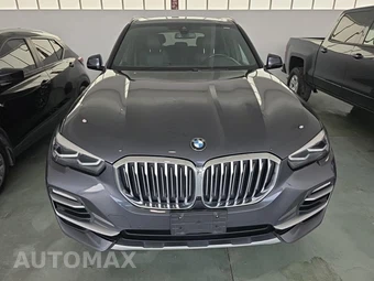 2019 BMW X5 Sports Activity Vehicle xDrive40i - miniatura 2