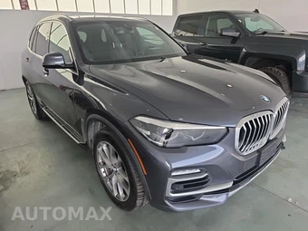 2019 BMW X5 Sports Activity Vehicle xDrive40i - miniatura 3