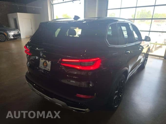 2019 BMW X5 Sports Activity Vehicle xDrive40i - miniatura 3