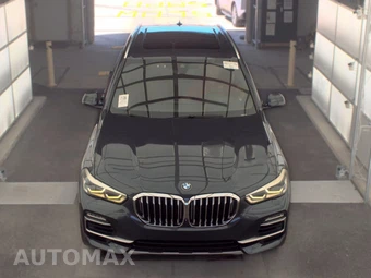 2019 BMW X5 Sports Activity Vehicle xDrive40i - miniatura 2