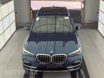 2019 BMW X5 Sports Activity Vehicle xDrive40i - miniatura 2