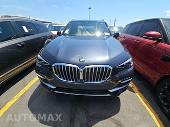 2019 BMW X5 Sports Activity Vehicle xDrive40i - miniatura 2