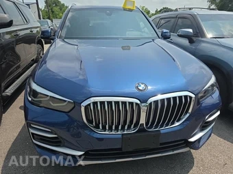 2019 BMW X5 Sports Activity Vehicle xDrive40i - miniatura 2