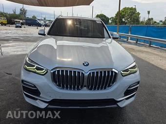 2019 BMW X5 Sports Activity Vehicle xDrive40i - miniatura 2