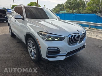 2019 BMW X5 Sports Activity Vehicle xDrive40i - miniatura 3