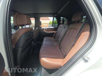 2019 BMW X5 Sports Activity Vehicle xDrive50i - miniatura 13