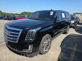 2019 Cadillac Escalade ESV Platinum 1SD