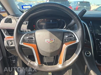 2019 Cadillac Escalade Luxury 1SB - miniatura 10