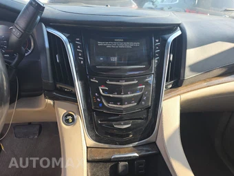 2019 Cadillac Escalade Luxury 1SB - miniatura 11