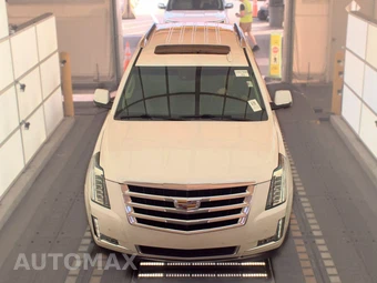 2019 Cadillac Escalade Luxury 1SB - miniatura 2