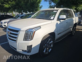 2019 Cadillac Escalade Luxury 1SB