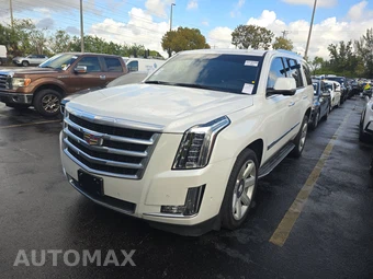 2019 Cadillac Escalade Luxury 1SB