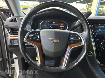 2019 Cadillac Escalade Luxury 1SB - miniatura 10
