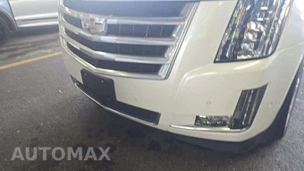 2019 Cadillac Escalade Luxury 1SB - miniatura 20