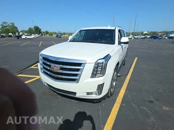 2019 Cadillac Escalade Luxury 1SB