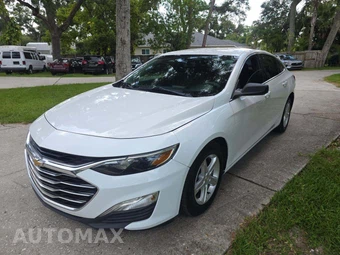 2019 Chevrolet Malibu LS 1FL
