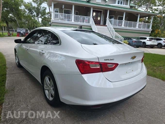2019 Chevrolet Malibu LS 1FL – miniatura 2