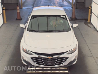 2019 Chevrolet Malibu LS 1FL – miniatura 2