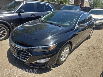 2019 Chevrolet Malibu LS 1LS
