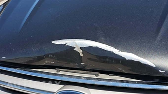 2019 Ford Escape SE – miniatura 28