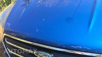2019 Ford Escape SE – miniatura 22