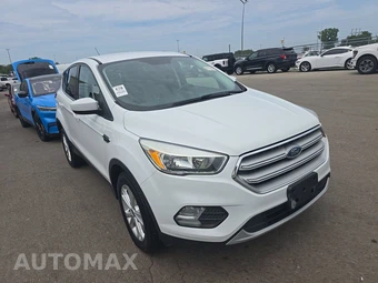 2019 Ford Escape SE – miniatura 3