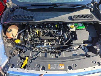2019 Ford Escape SE – miniatura 15