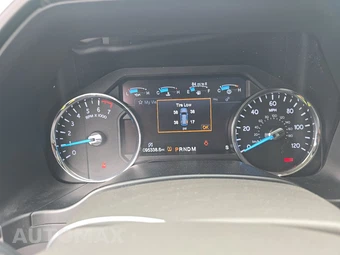 2019 Ford Expedition Limited – miniatura 12
