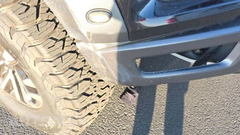 2019 Ford F-150 Raptor Crew Cab Short Bed - miniatura 19