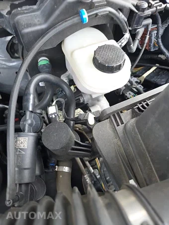 2019 Ford F-150 Raptor Crew Cab Short Bed - miniatura 31