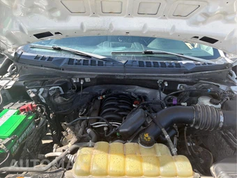 2019 Ford F-150 XL Crew Cab Short Bed - miniatura 21