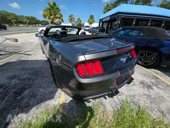 2019 Ford Mustang EcoBoost Premium Convertible - miniatura 2