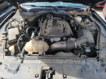 2019 Ford Mustang EcoBoost Premium Convertible – miniatura 15