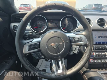 2019 Ford Mustang EcoBoost Premium Coupe - miniatura 10