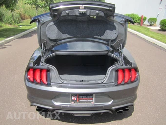 2019 Ford Mustang GT Premium Coupe – miniatura 134