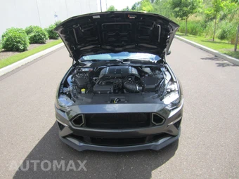 2019 Ford Mustang GT Premium Coupe – miniatura 155