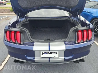 2019 Ford Mustang GT Premium Coupe - miniatura 14