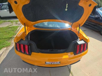 2019 Ford Mustang GT Premium Coupe - miniatura 14