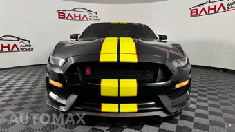2019 Ford Mustang Shelby GT350 Coupe - miniatura 9