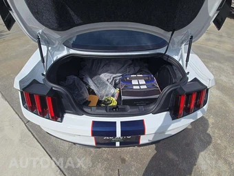 2019 Ford Mustang Shelby GT350R Coupe – miniatura 11