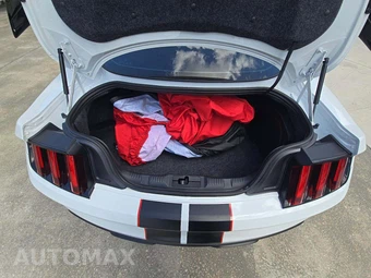 2019 Ford Mustang Shelby GT350R Coupe - miniatura 11