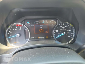 2019 Ford Super Duty F-250 Platinum Crew Cab Medium Bed - miniatura 6
