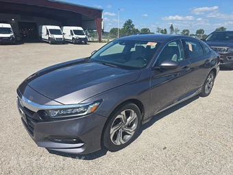 2019 Honda Accord Sedan EX-L 1.5T