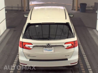 2019 Honda Odyssey Elite 118.1" WB - miniatura 5