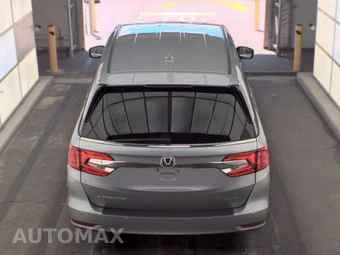 2019 Honda Odyssey Elite 118.1" WB - miniatura 5